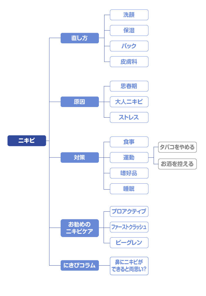 ニキビジャンルの検索意図を分類した図