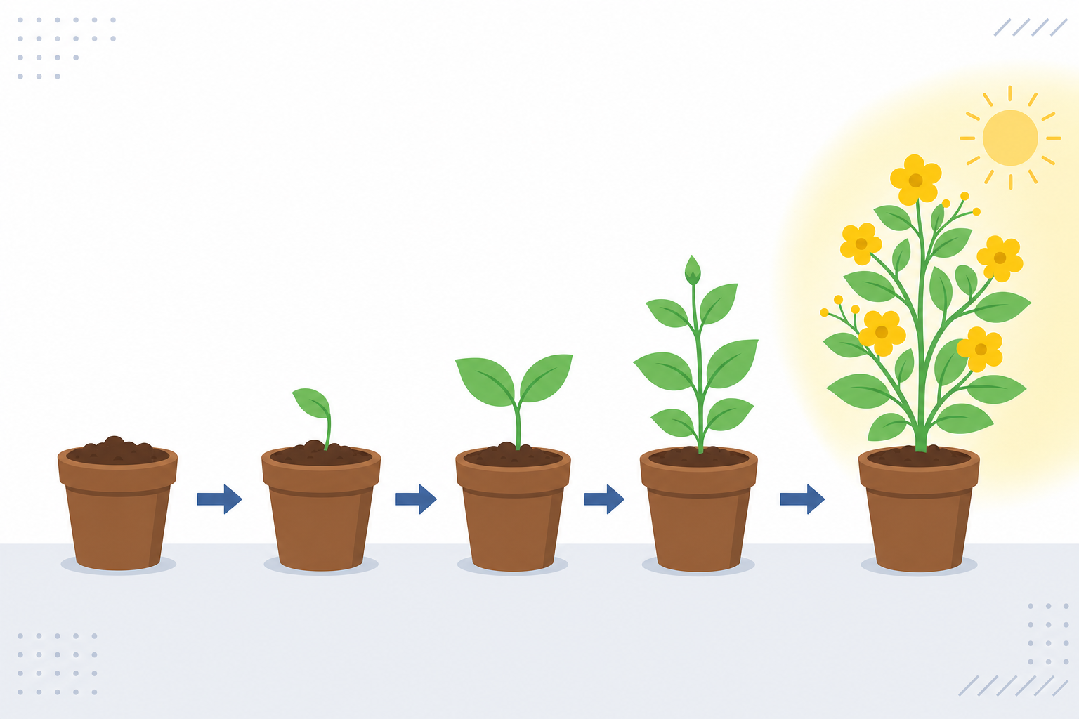 穏やかな午後の光の中で、小さな芽が大きな植物に育っていく経過のイラスト