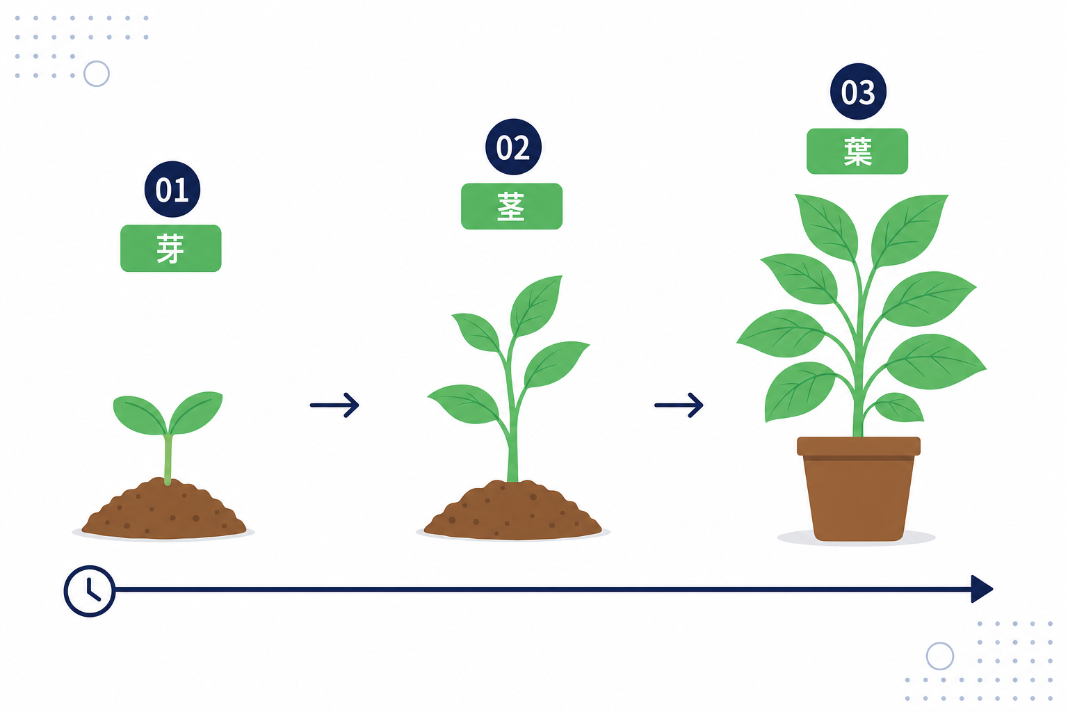 植物が芽→茎→葉と育っていく様子を時系列で並べたイラスト。副業の成長メタファー