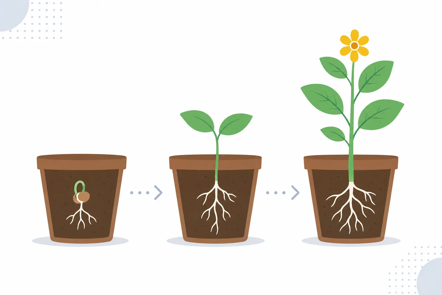 小さな芽が少しずつ育っていく植木鉢のイラスト